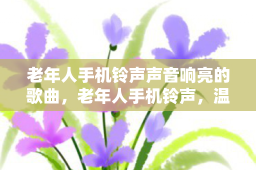 老年人手机铃声声音响亮的歌曲,老年人手机铃声,温馨旋律,传递关怀 老年人手机铃声声音响亮的歌曲,老年人手机铃声,温馨旋律,传递关怀