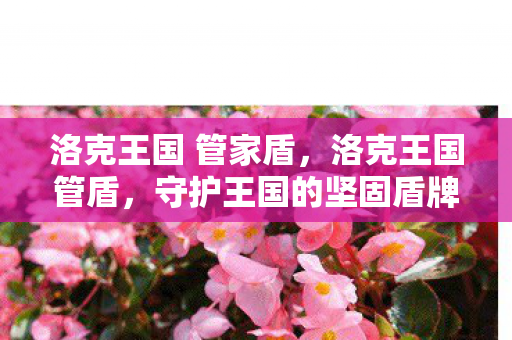 洛克王国 管家盾,洛克王国管盾,守护王国的坚固盾牌 洛克王国 管家盾,洛克王国管盾,守护王国的坚固盾牌