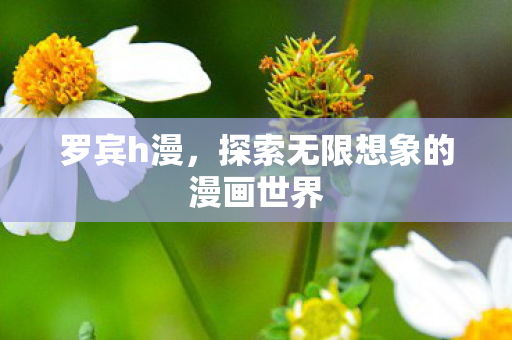 罗宾h漫,探索无限想象的漫画世界 罗宾h漫,探索无限想象的漫画世界