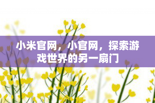 小米官网,小官网,探索游戏世界的另一扇门 小米官网,小官网,探索游戏世界的另一扇门
