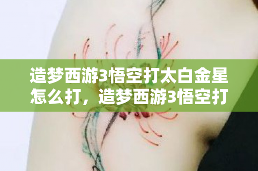 造梦西游3悟空打太白金星怎么打,造梦西游3悟空打太白金星,一场跨越时空的冒险对决 造梦西游3悟空打太白金星怎么打,造梦西游3悟空打太白金星,一场跨越时空的冒险对决