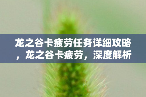 龙之谷卡疲劳任务详细攻略,龙之谷卡疲劳,深度解析游戏卡顿与性能优化 龙之谷卡疲劳任务详细攻略,龙之谷卡疲劳,深度解析游戏卡顿与性能优化