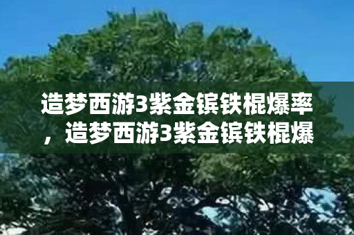 造梦西游3紫金镔铁棍爆率，造梦西游3紫金镔铁棍爆点，解锁隐藏属性与打造神器之路