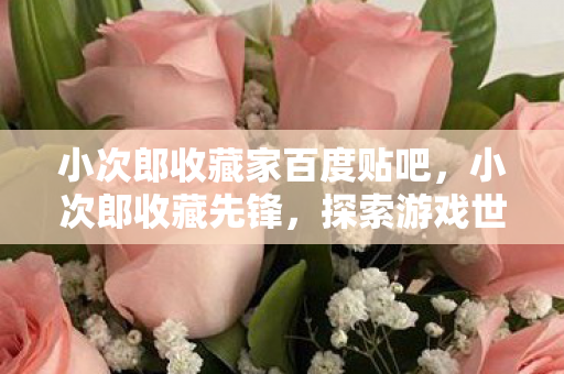 小次郎收藏家百度贴吧,小次郎收藏先锋,探索游戏世界的独特收藏之旅 小次郎收藏家百度贴吧,小次郎收藏先锋,探索游戏世界的独特收藏之旅