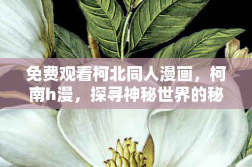 免费观看柯北同人漫画,柯南h漫,探寻神秘世界的秘密 免费观看柯北同人漫画,柯南h漫,探寻神秘世界的秘密