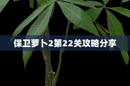 保卫萝卜2第22关攻略分享 保卫萝卜2第22关攻略分享