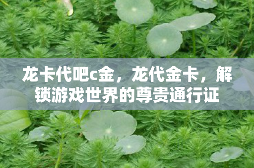 解锁游戏世界的尊贵通行证图片
