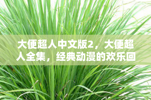 经典动漫的欢乐回忆与独特魅力图片