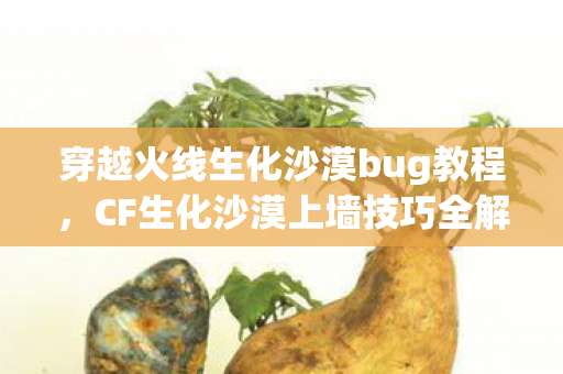 穿越火线生化沙漠bug教程,CF生化沙漠上墙技巧全解析 穿越火线生化沙漠bug教程,CF生化沙漠上墙技巧全解析