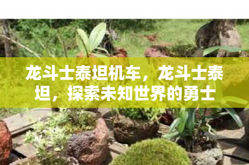 探索未知世界的勇士图片