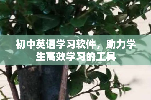 初中英语学习软件,助力学生高效学习的工具 初中英语学习软件,助力学生高效学习的工具