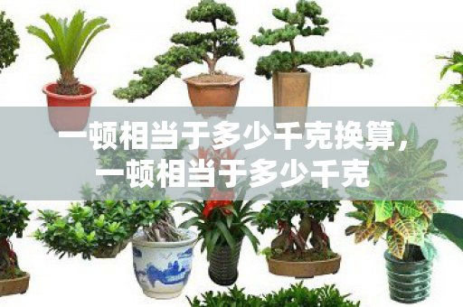 一顿相当于多少千克换算图片