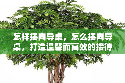 怎样摆向导桌,怎么摆向导桌,打造温馨而高效的接待空间 怎样摆向导桌,怎么摆向导桌,打造温馨而高效的接待空间
