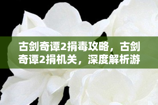 古剑奇谭2捐毒攻略,古剑奇谭2捐机关,深度解析游戏内的公益行动 古剑奇谭2捐毒攻略,古剑奇谭2捐机关,深度解析游戏内的公益行动