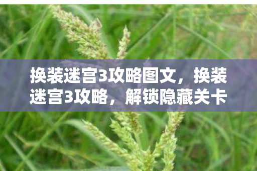换装迷宫3攻略图文,换装迷宫3攻略,解锁隐藏关卡与角色全解析 换装迷宫3攻略图文,换装迷宫3攻略,解锁隐藏关卡与角色全解析