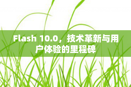 Flash 10.0,技术革新与用户体验的里程碑 Flash 10.0,技术革新与用户体验的里程碑