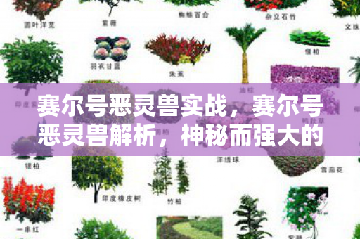 赛尔号恶灵兽实战图片