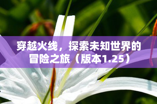 穿越火线,探索未知世界的冒险之旅(版本1.25) 穿越火线,探索未知世界的冒险之旅(版本1.25)