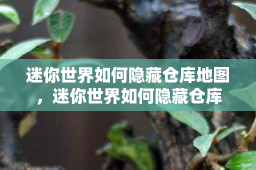 迷你世界如何隐藏仓库地图,迷你世界如何隐藏仓库 迷你世界如何隐藏仓库地图,迷你世界如何隐藏仓库