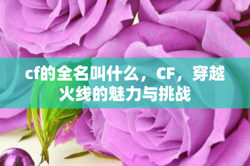 穿越火线的魅力与挑战图片