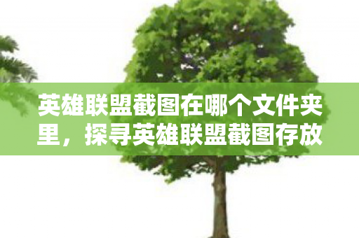 英雄联盟截图在哪个文件夹里,探寻英雄联盟截图存放之谜,揭秘官方截图文件夹 英雄联盟截图在哪个文件夹里,探寻英雄联盟截图存放之谜,揭秘官方截图文件夹