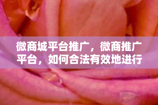 微商城平台推广,微商推广平台,如何合法有效地进行产品推广 微商城平台推广,微商推广平台,如何合法有效地进行产品推广
