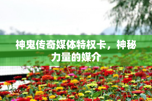 神鬼传奇媒体特权卡,神秘力量的媒介 神鬼传奇媒体特权卡,神秘力量的媒介