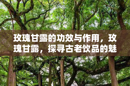 玫瑰甘露的功效与作用,玫瑰甘露,探寻古老饮品的魅力与传承 玫瑰甘露的功效与作用,玫瑰甘露,探寻古老饮品的魅力与传承