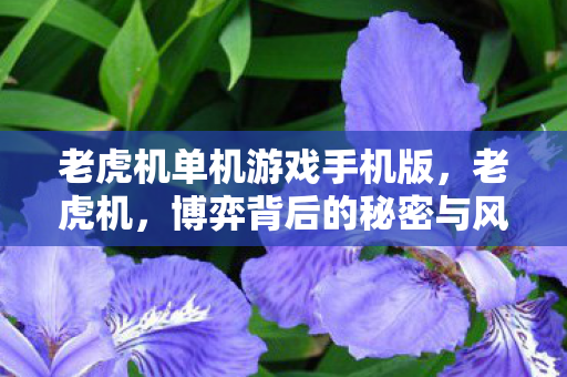 老虎机单机游戏手机版,老虎机,博弈背后的秘密与风险 老虎机单机游戏手机版,老虎机,博弈背后的秘密与风险