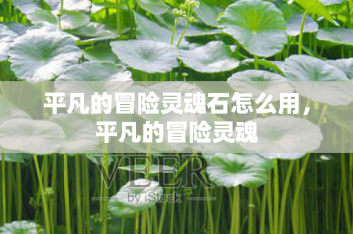 平凡的冒险灵魂石怎么用,平凡的冒险灵魂 平凡的冒险灵魂石怎么用,平凡的冒险灵魂