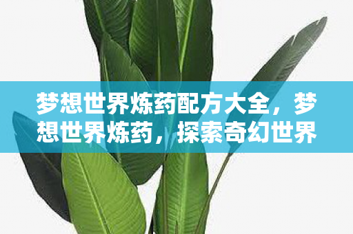梦想世界炼药配方大全,梦想世界炼药,探索奇幻世界的药剂奥秘 梦想世界炼药配方大全,梦想世界炼药,探索奇幻世界的药剂奥秘