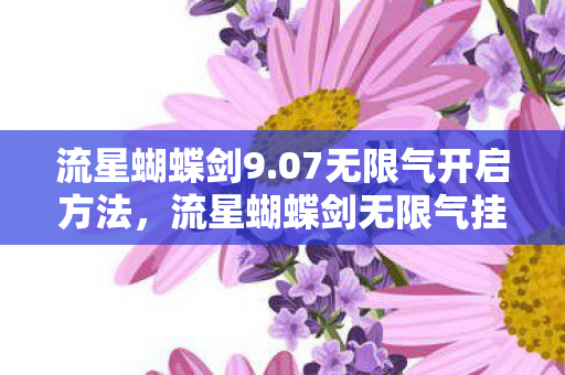流星蝴蝶剑9.07无限气开启方法,流星蝴蝶剑无限气挂,游戏乐趣的另类探索 流星蝴蝶剑9.07无限气开启方法,流星蝴蝶剑无限气挂,游戏乐趣的另类探索