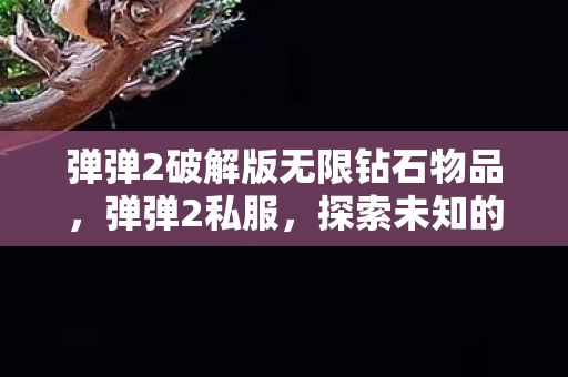 弹弹2破解版无限钻石物品,弹弹2私服,探索未知的游戏世界 弹弹2破解版无限钻石物品,弹弹2私服,探索未知的游戏世界