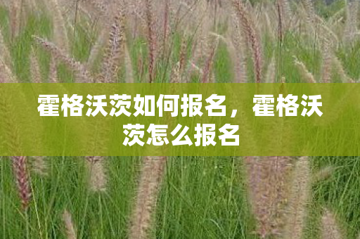 霍格沃茨如何报名,霍格沃茨怎么报名 霍格沃茨如何报名,霍格沃茨怎么报名