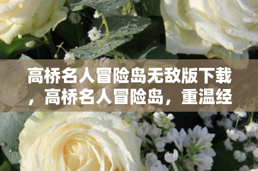 高桥名人冒险岛无敌版下载,高桥名人冒险岛,重温经典,体验无敌版冒险 高桥名人冒险岛无敌版下载,高桥名人冒险岛,重温经典,体验无敌版冒险