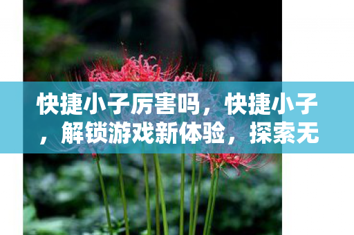 快捷小子厉害吗，快捷小子，解锁游戏新体验，探索无限可能