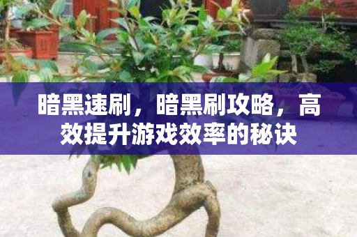 暗黑速刷，暗黑刷攻略，高效提升游戏效率的秘诀