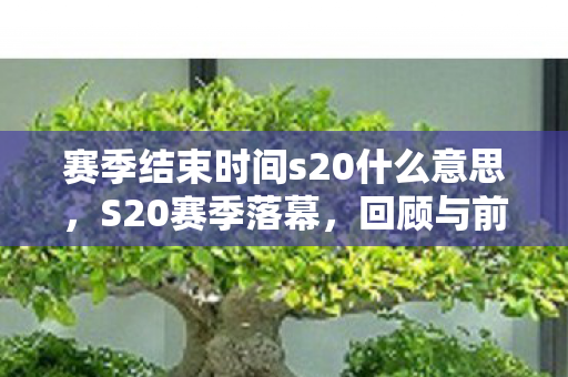 赛季结束时间s20什么意思，S20赛季落幕，回顾与前瞻