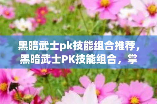 黑暗武士pk技能组合推荐图片
