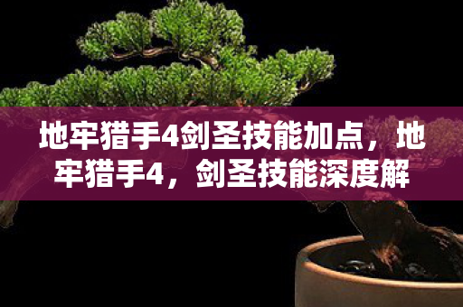 地牢猎手4剑圣技能加点图片