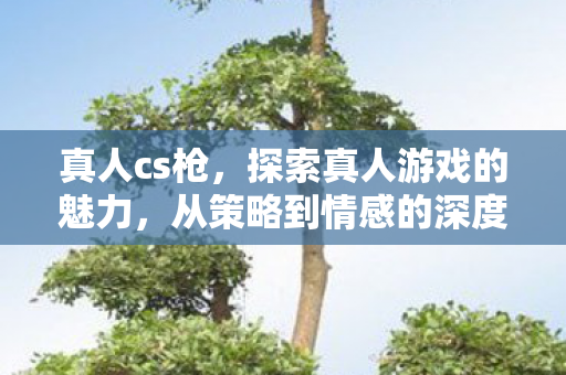 从策略到情感的深度体验图片