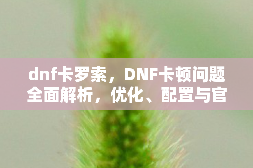 dnf卡罗索,DNF卡顿问题全面解析,优化、配置与官方支持 dnf卡罗索,DNF卡顿问题全面解析,优化、配置与官方支持