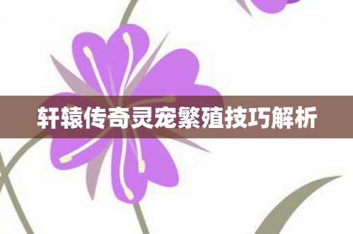 轩辕传奇灵宠繁殖技巧解析 轩辕传奇灵宠繁殖技巧解析