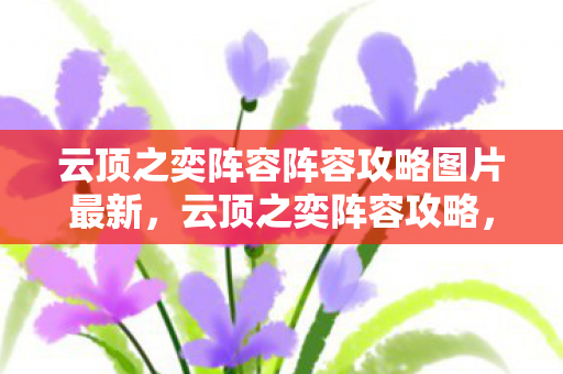 云顶之奕阵容阵容攻略图片最新，云顶之奕阵容攻略，最新强势阵容推荐