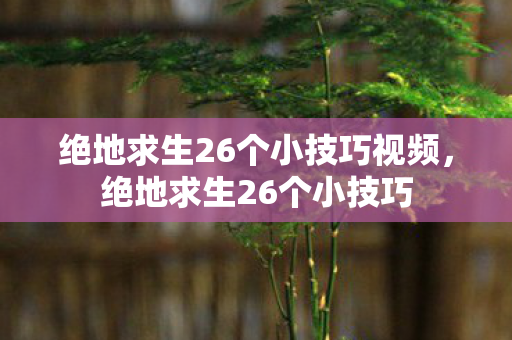 绝地求生26个小技巧视频,绝地求生26个小技巧 绝地求生26个小技巧视频,绝地求生26个小技巧