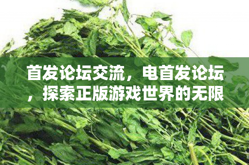 首发论坛交流,电首发论坛,探索正版游戏世界的无限可能 首发论坛交流,电首发论坛,探索正版游戏世界的无限可能