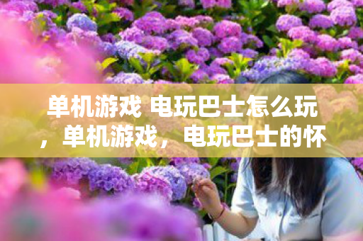 单机游戏 电玩巴士怎么玩,单机游戏,电玩巴士的怀旧之旅 单机游戏 电玩巴士怎么玩,单机游戏,电玩巴士的怀旧之旅