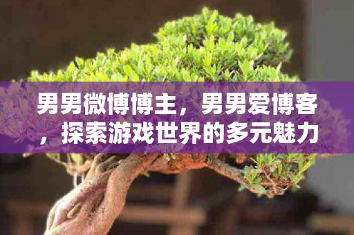男男微博博主，男男爱博客，探索游戏世界的多元魅力