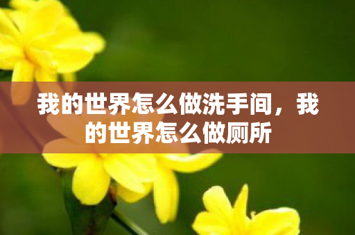 我的世界怎么做洗手间，我的世界怎么做厕所