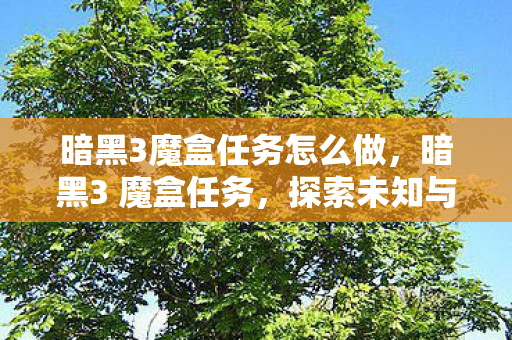 暗黑3魔盒任务怎么做,暗黑3 魔盒任务,探索未知与冒险的终极挑战 暗黑3魔盒任务怎么做,暗黑3 魔盒任务,探索未知与冒险的终极挑战